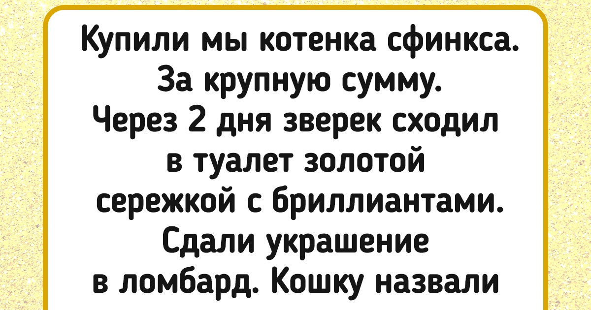 16 человек, о безудержной фантазии которых свидетельствуют клички их животных