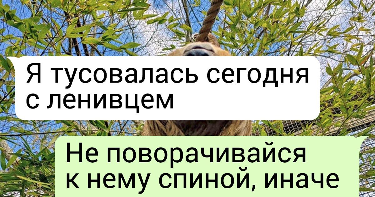 19 идеальных фото, авторам которых хочется предъявить: «Докажи, что это не фальшивка» 19 идеальных фото, авторам которых хочется предъявить: «Докажи, что это не фальшивка»