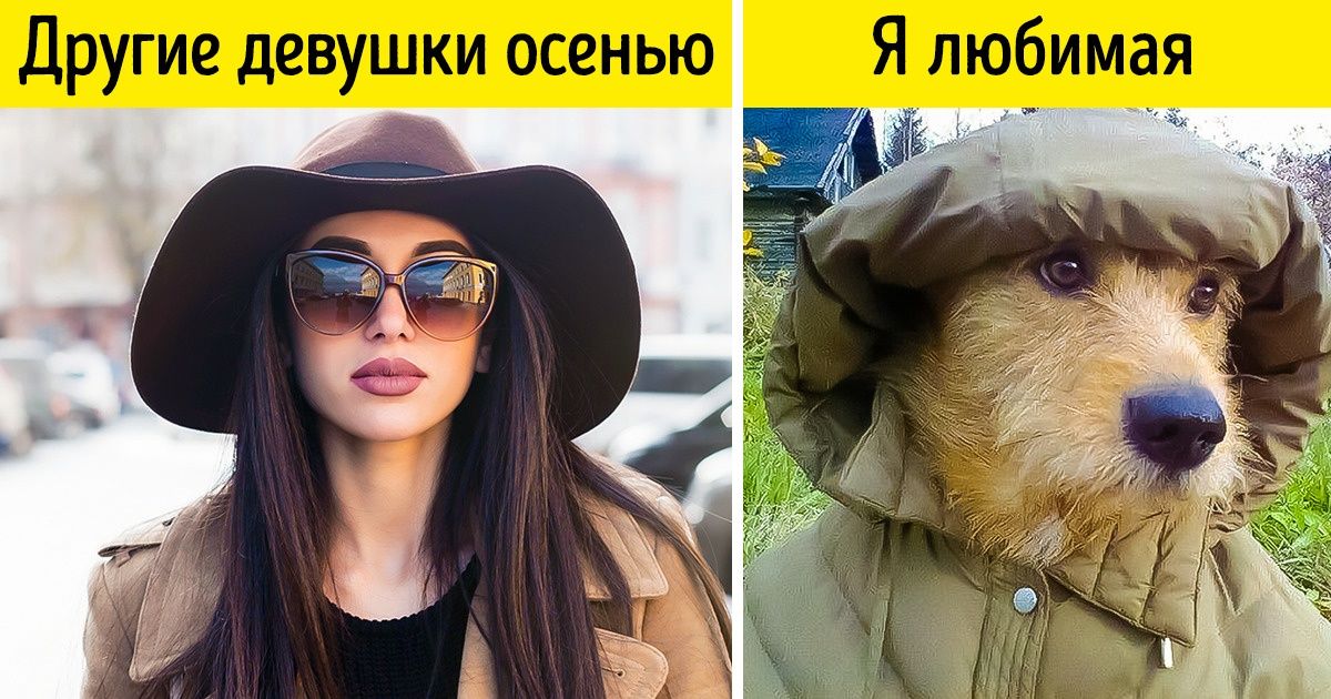 18 наглядных доказательств того, что в мире существует лишь 2 типа девушек