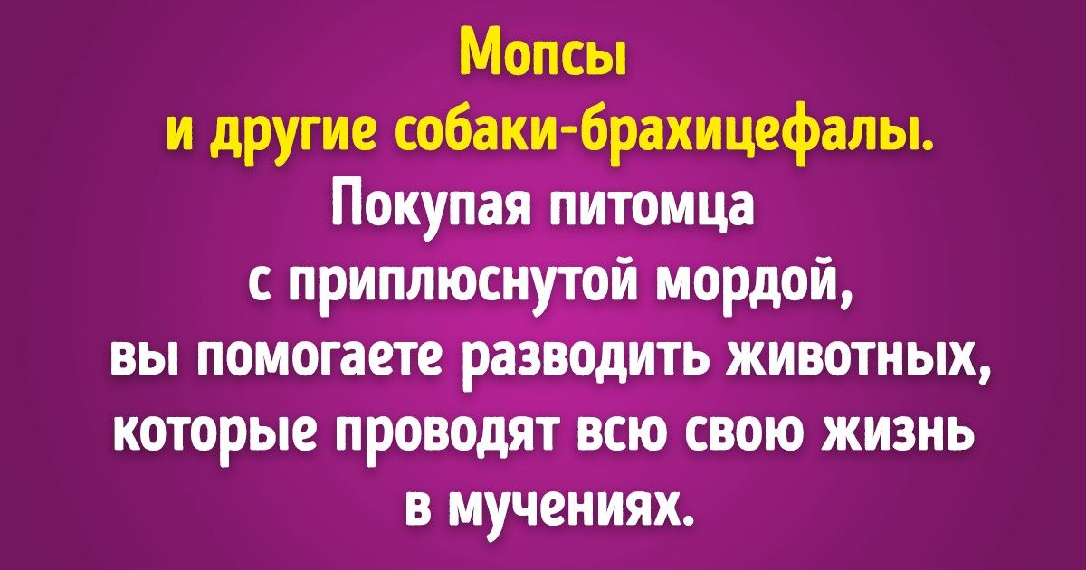 15 покупок, от которых по веским причинам отказались люди по всему миру 15 покупок, от которых по веским причинам отказались люди по всему миру