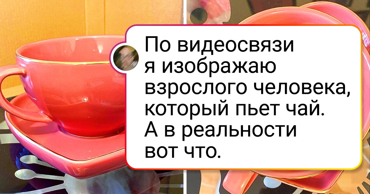 20+ человек, у которых такой уровень смекалки, что не знаешь, смеяться или плакать
