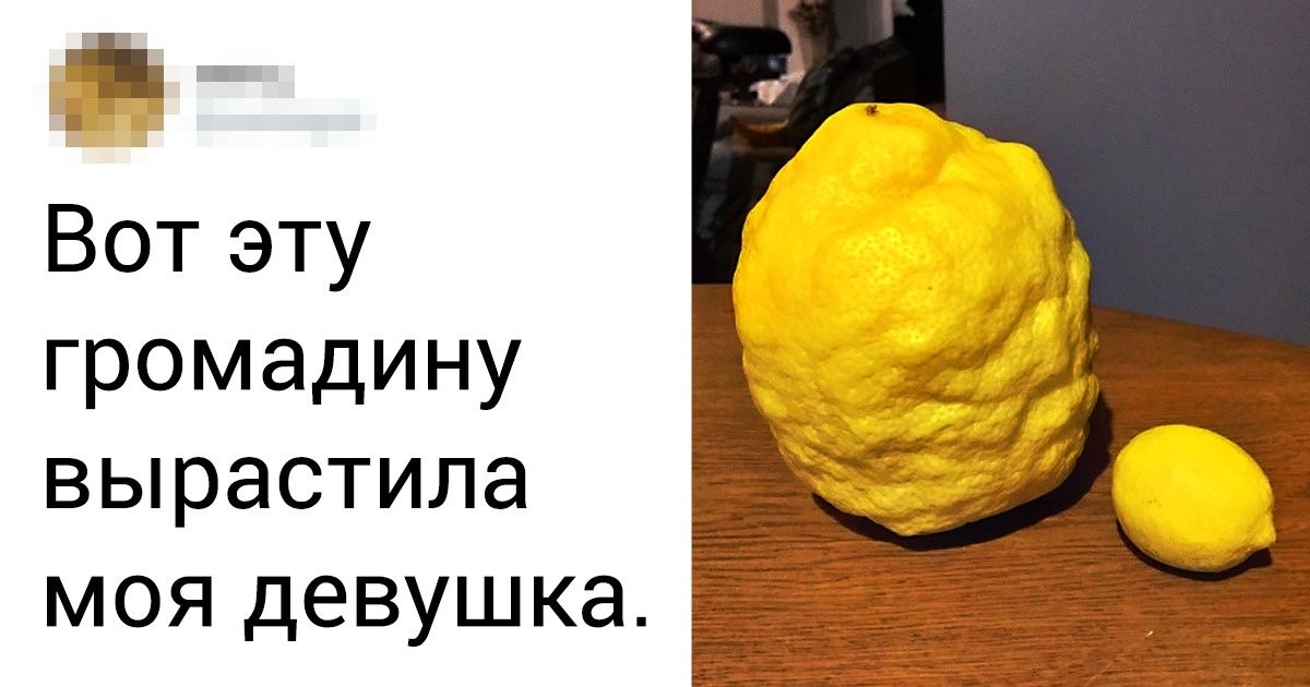 20+ вещей и животных, чьи размеры выходят за границы привычного 20+ вещей и животных, чьи размеры выходят за границы привычного