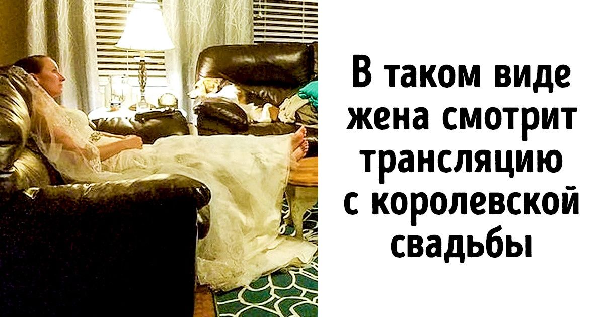 16 доказательств того, что слабонервным в браке не выжить 16 доказательств того, что слабонервным в браке не выжить