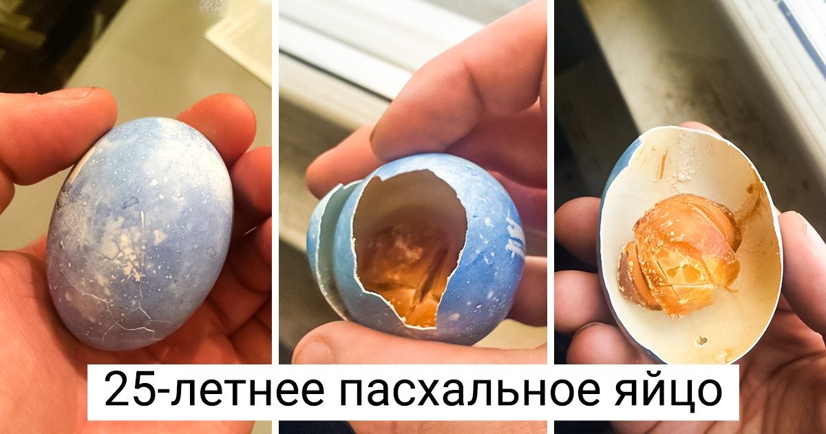 20+ фотографий, которые показывают, как сильно время влияет на вещи 20+ фотографий, которые показывают, как сильно время влияет на вещи