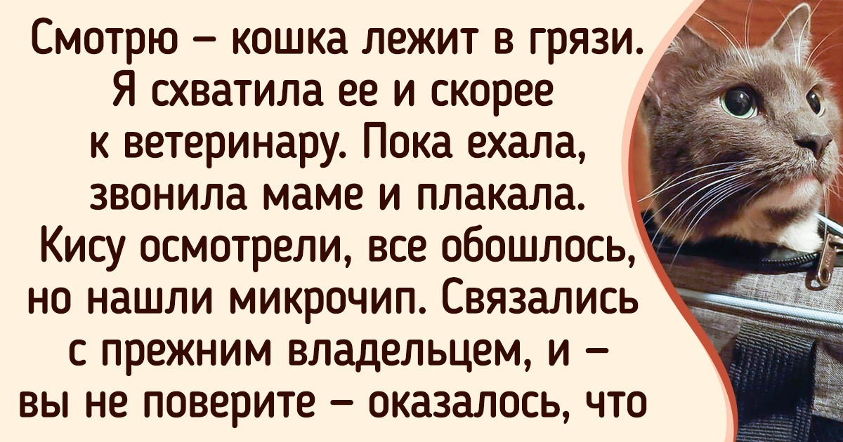 17 человек, которых сама жизнь заставила поверить в новогоднее чудо 17 человек, которых сама жизнь заставила поверить в новогоднее чудо