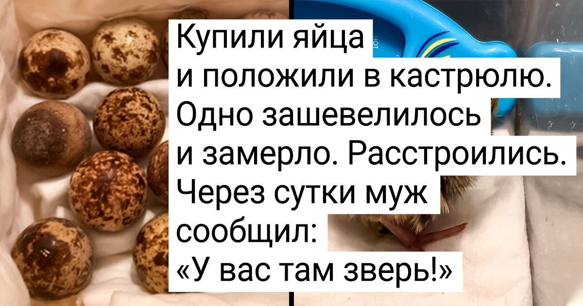 17 доказательств того, что жизнь побеждает все 17 доказательств того, что жизнь побеждает все
