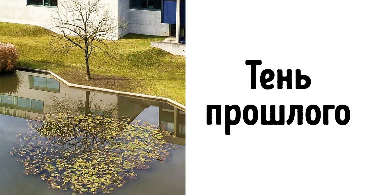 20+ доказательств того, что осень — самый искусный художник на свете