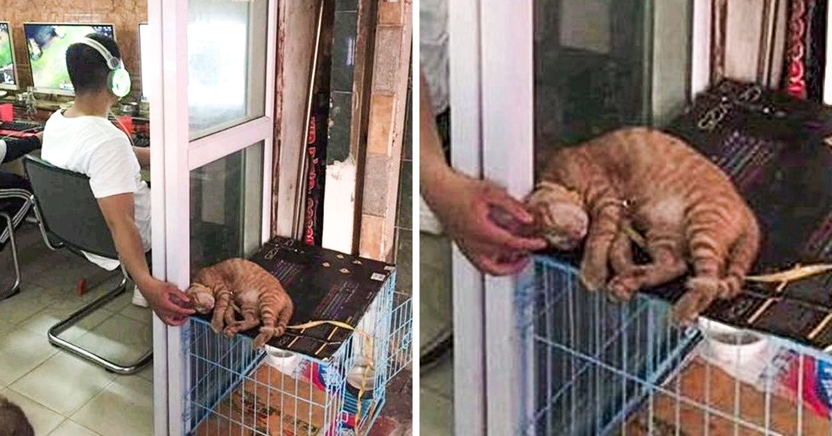 18 человек, у которых нет проблем с правильной расстановкой приоритетов 18 человек, у которых нет проблем с правильной расстановкой приоритетов