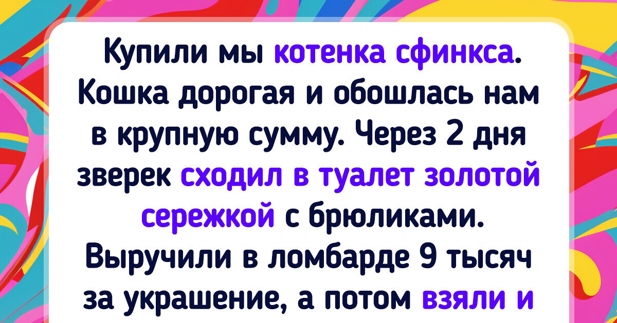20+ питомцев, которые вряд ли упустят случай слегка похулиганить 20+ питомцев, которые вряд ли упустят случай слегка похулиганить