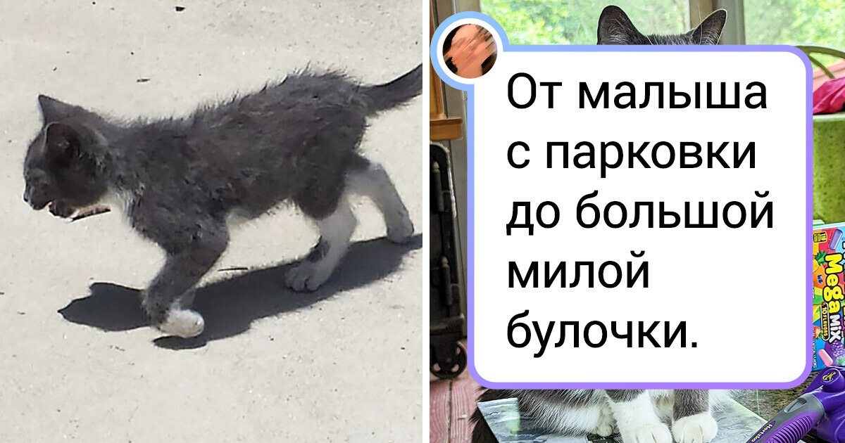 18 фото до и после, которые покажут, как любовь и забота меняют все 18 фото до и после, которые покажут, как любовь и забота меняют все