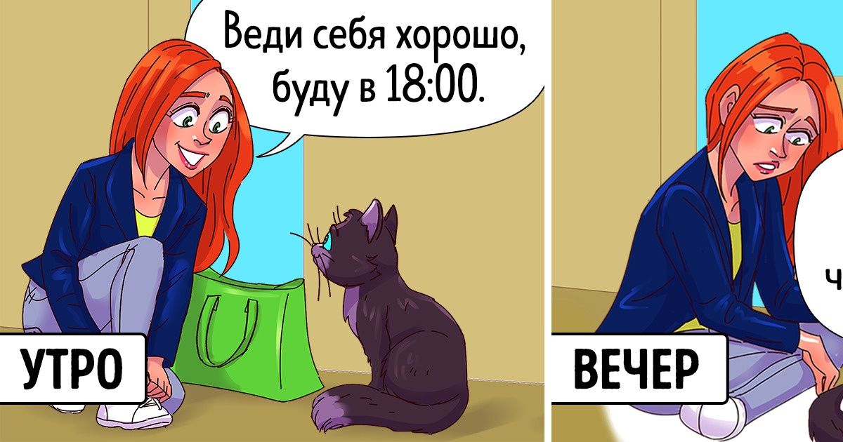15+ вещей, которые покажутся сплошным абсурдом только человеку, у которого нет кота 15+ вещей, которые покажутся сплошным абсурдом только человеку, у которого нет кота