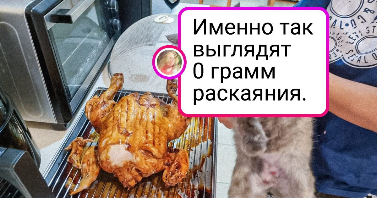 15+ кошек, которые слышали про эти ваши границы дозволенного и чихать на них хотели 15+ кошек, которые слышали про эти ваши границы дозволенного и чихать на них хотели
