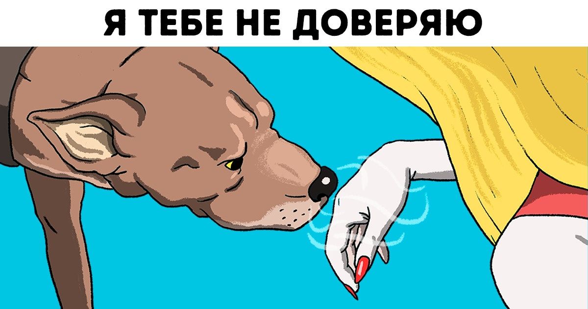 Ученые доказали, что собаки могут распознать плохого человека Ученые доказали, что собаки могут распознать плохого человека