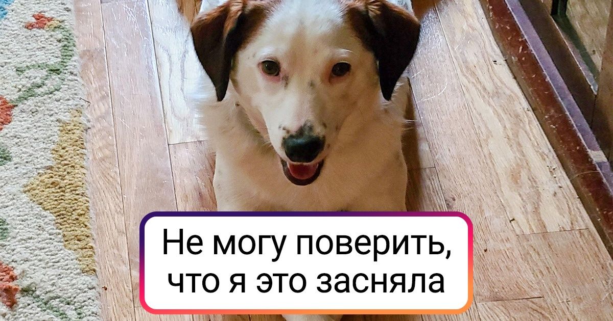 20+ человек поделились своими лучшими снимками, которые им повезло сделать за всю жизнь 20+ человек поделились своими лучшими снимками, которые им повезло сделать за всю жизнь