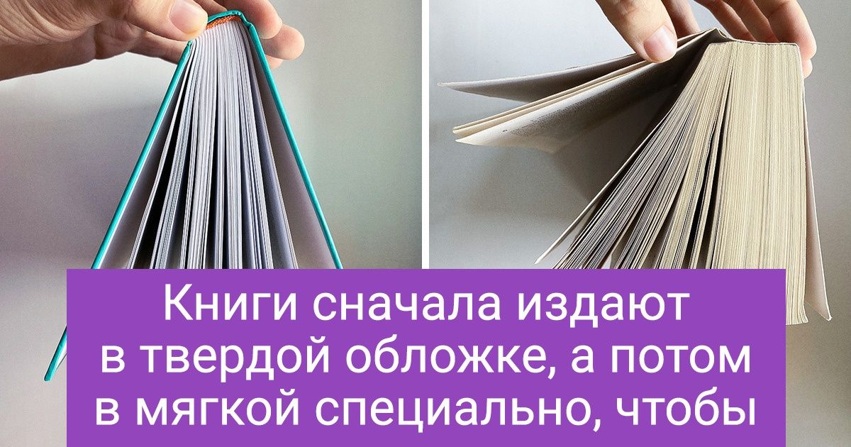 10+ ответов на дурацкие вопросы, которые, скорее всего, вам всегда было лень загуглить