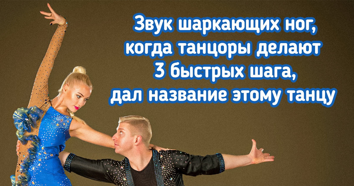 15+ хитрых вопросов из «Своей игры», для ответа на которые нужна не только эрудиция, но и интуиция