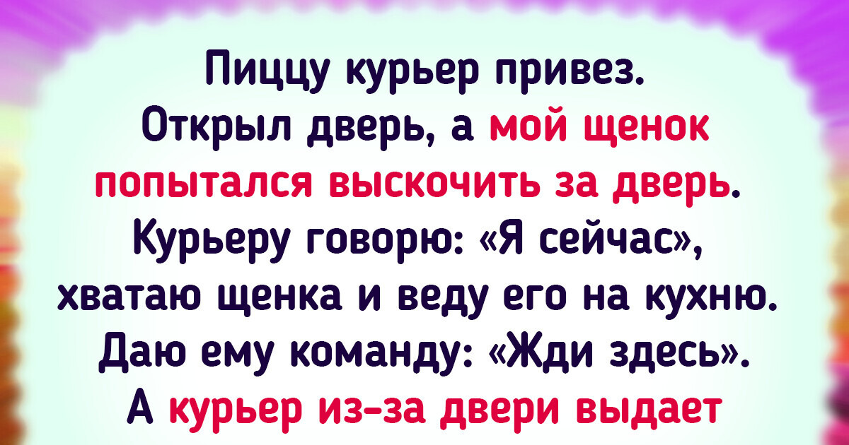 15+ доказательств того, что из историй о курьерах и их клиентах мог бы получиться ситком века