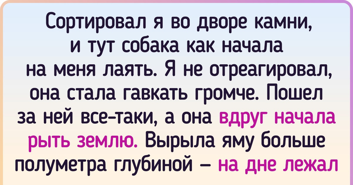 18 случаев, когда братья наши меньшие продемонстрировали интеллект, достойный Эйнштейна 18 случаев, когда братья наши меньшие продемонстрировали интеллект, достойный Эйнштейна