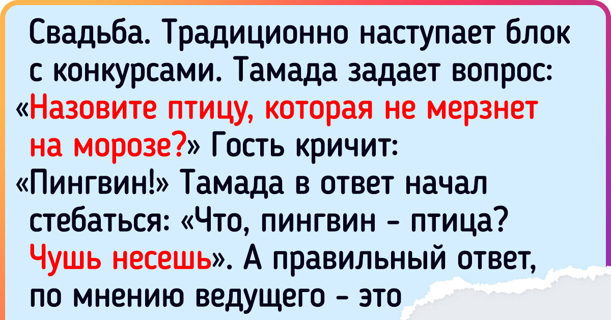 17 человек, которых так и хочется спросить: «Вы логику выкинули за ненадобностью?» 17 человек, которых так и хочется спросить: «Вы логику выкинули за ненадобностью?»
