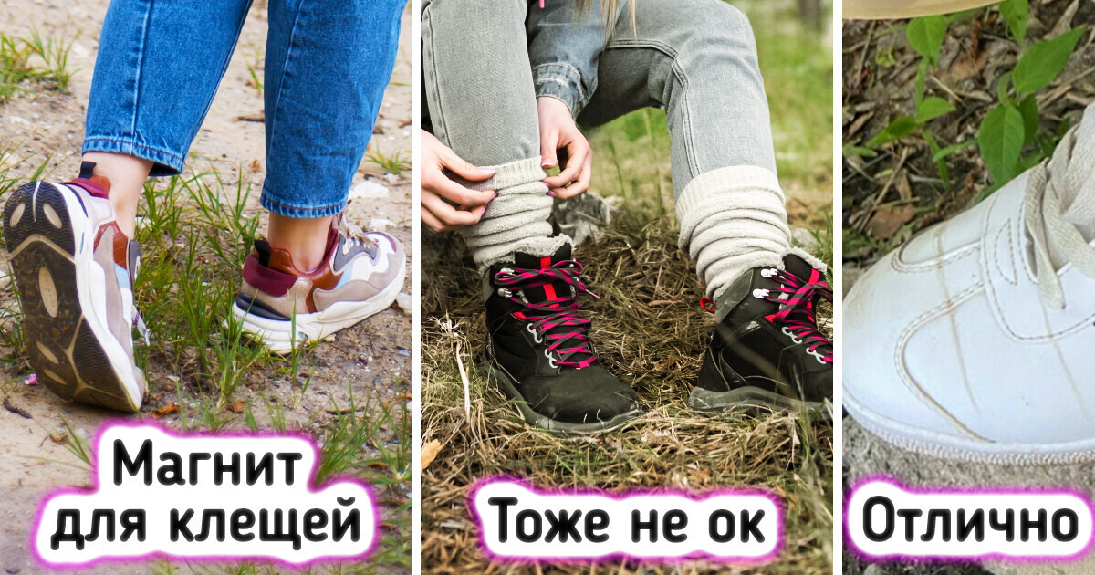 10 советов, которые поднимут отдых на природе на новый уровень 10 советов, которые поднимут отдых на природе на новый уровень