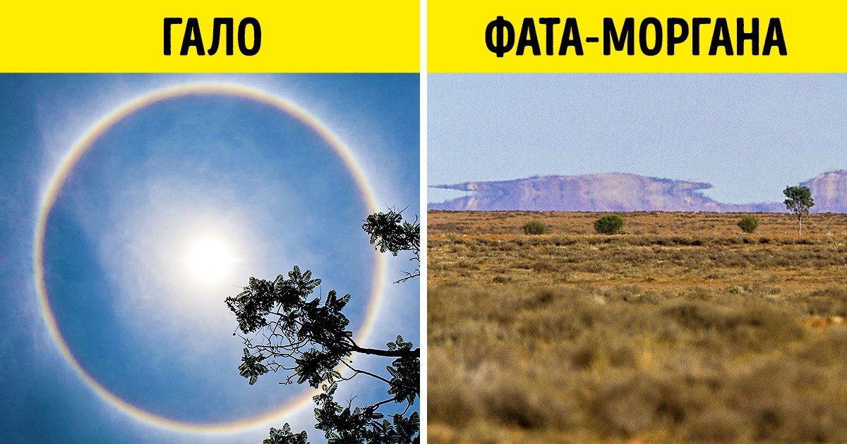 Думаете, это фотошоп? На самом деле природе есть чем вас удивить, и мы нашли тому доказательства Думаете, это фотошоп? На самом деле природе есть чем вас удивить, и мы нашли тому доказательства