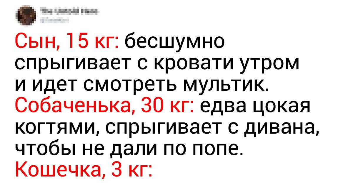 14 твитов от людей, у которых самый острый предмет в доме — это их язык