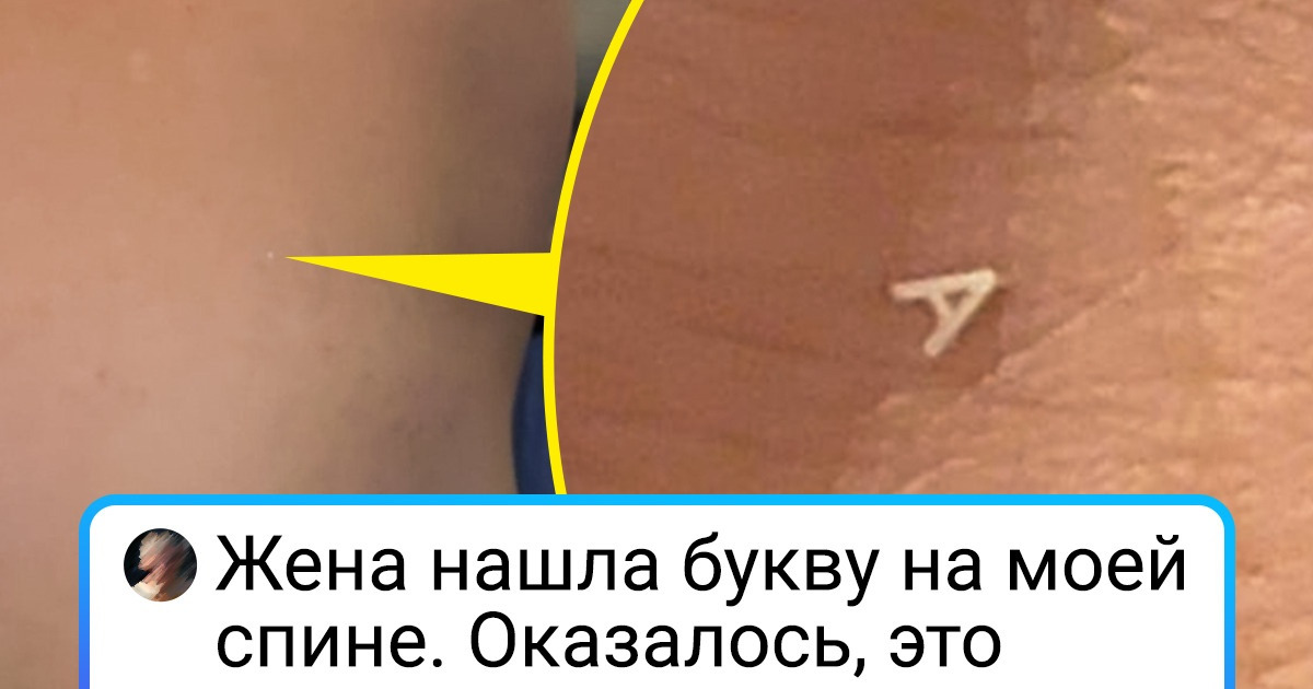 17 находок и встреч, которые надолго врежутся в память авторов этих фото 17 находок и встреч, которые надолго врежутся в память авторов этих фото