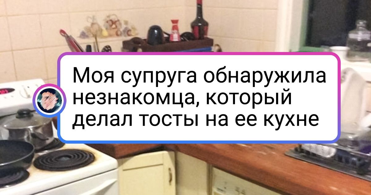 19 мохнатых хулиганов, которые творят все что их душеньке угодно 19 мохнатых хулиганов, которые творят все что их душеньке угодно