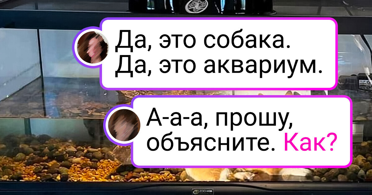 15+ фото, которые выглядят так, словно были обработаны на компьютере