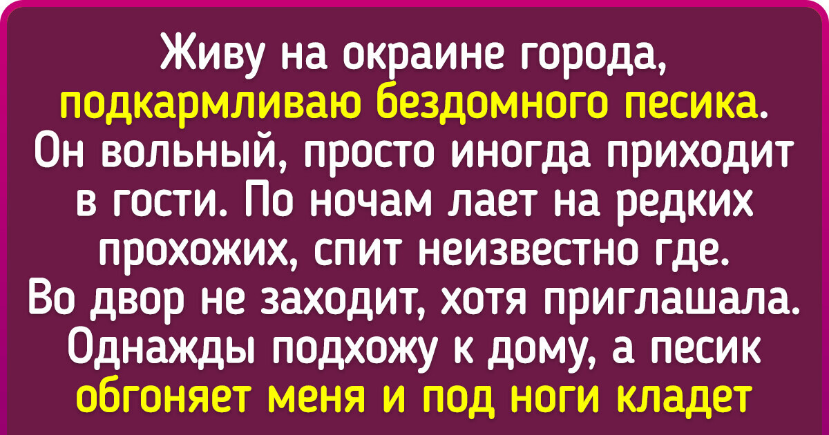 15 историй о том, что нет существа в этом мире умнее и добрее, чем собака