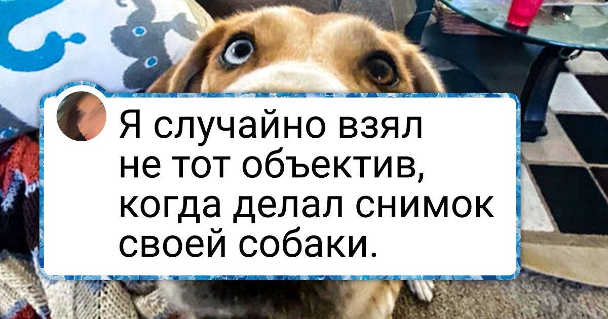 20+ фото, на которых люди попали в самое яблочко с ракурсом и настроением 20+ фото, на которых люди попали в самое яблочко с ракурсом и настроением