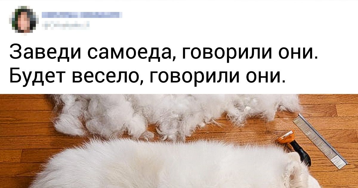 20+ фактов о домашних питомцах, которые обычно не рассказывают ветеринары 20+ фактов о домашних питомцах, которые обычно не рассказывают ветеринары