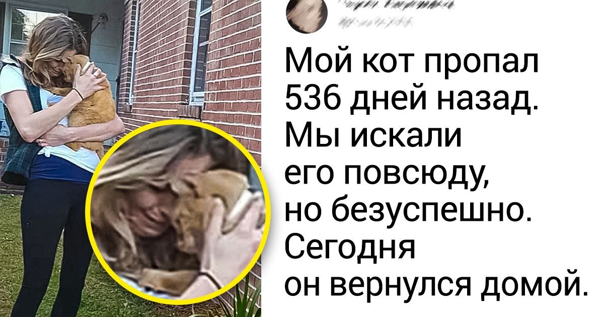 20+ историй воссоединения питомцев и их хозяев, от которых хочется рыдать, как раненый зверь 20+ историй воссоединения питомцев и их хозяев, от которых хочется рыдать, как раненый зверь