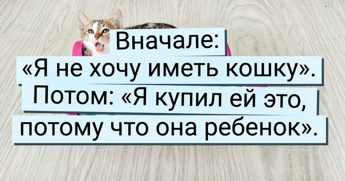 20+ вчерашних суровых ворчунов, тающих под натиском пушистиков и их мягких лапок 20+ вчерашних суровых ворчунов, тающих под натиском пушистиков и их мягких лапок