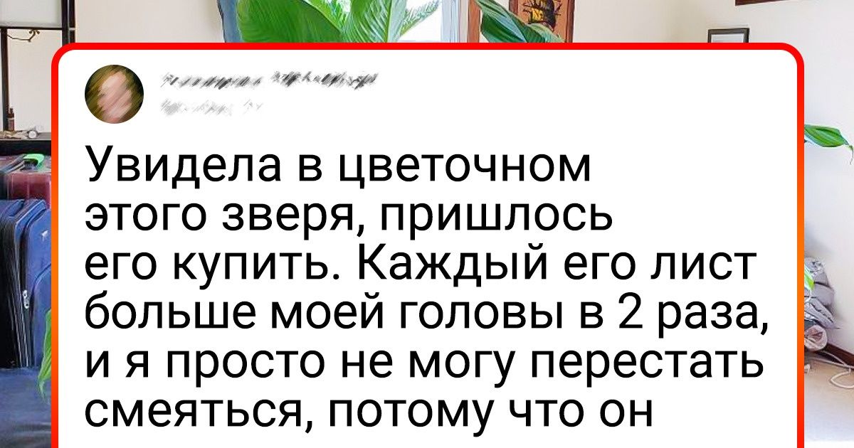 20+ человек, которые, кажется, чуток переборщили в своей любви к растениям 20+ человек, которые, кажется, чуток переборщили в своей любви к растениям