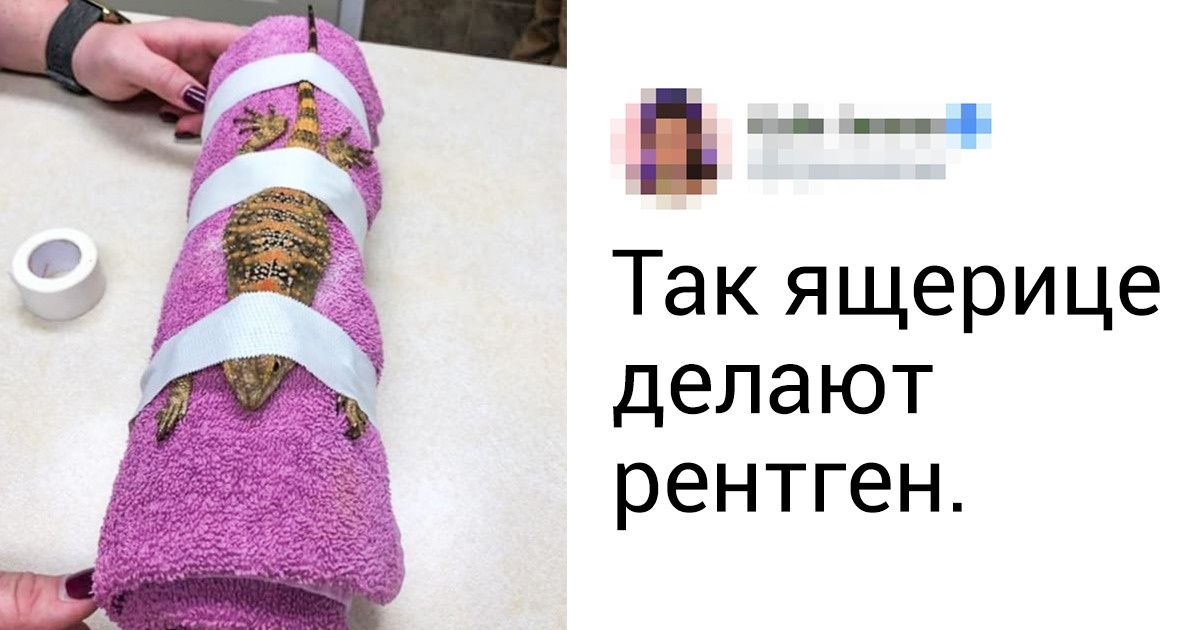 25 фотографий, которые расширят ваши знания об окружающем мире 25 фотографий, которые расширят ваши знания об окружающем мире