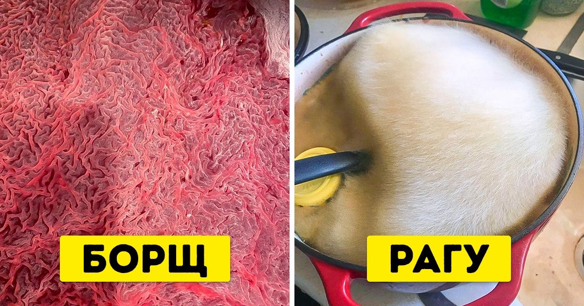 20+ фотографий, которые в два счета ответят на вопрос «Что будет, если?...»