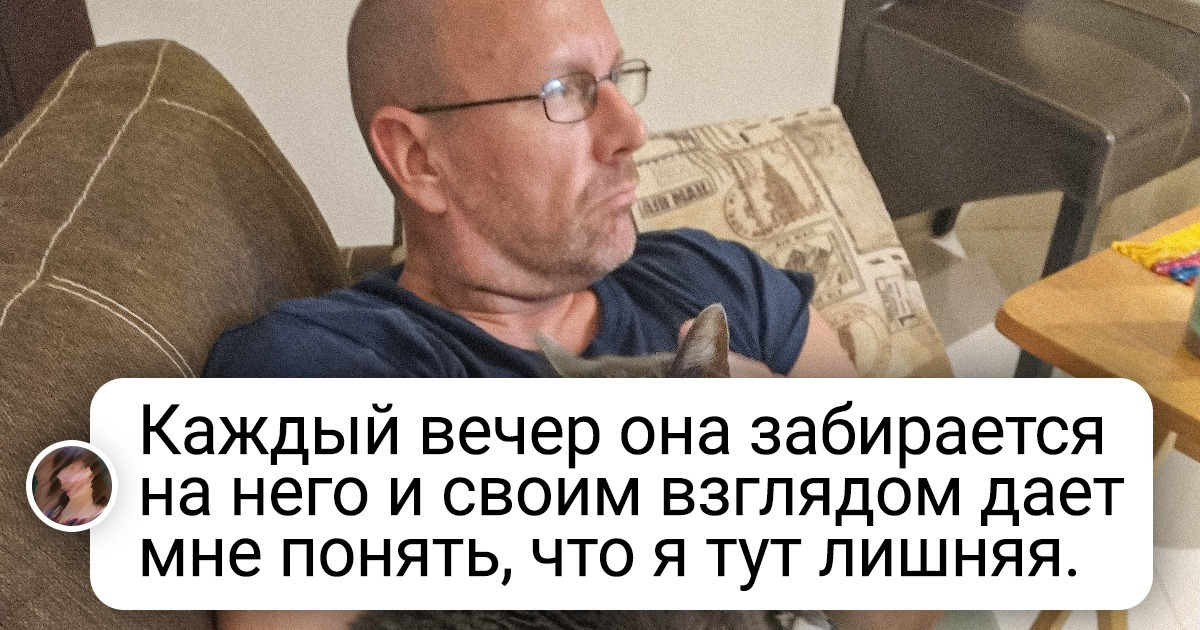 20 животных, харизма которых бьет фонтаном даже через экран 20 животных, харизма которых бьет фонтаном даже через экран