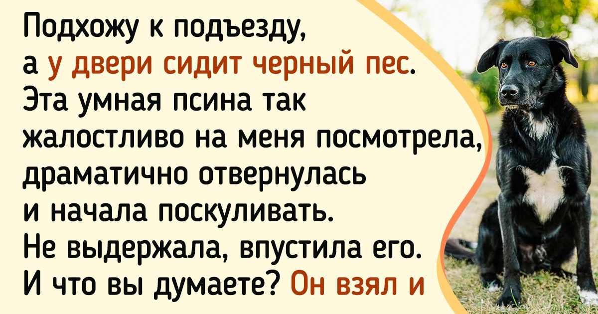 Можно ли по повадкам найти свое. Можно ли по повадкам найти свое