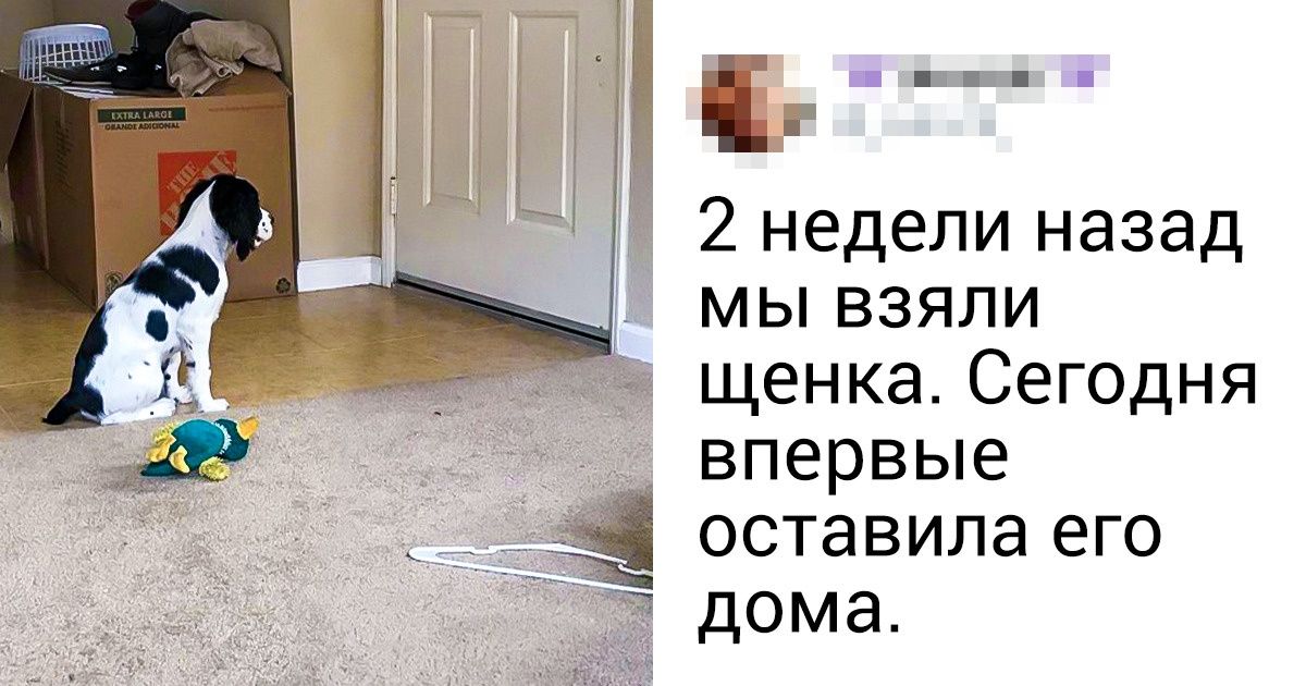 17 эмоциональных фото о том, что все в этой жизни бывает в первый раз 17 эмоциональных фото о том, что все в этой жизни бывает в первый раз