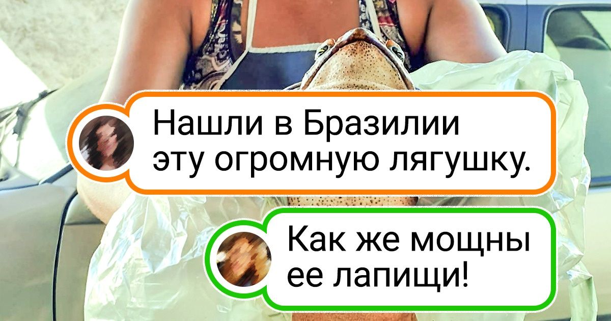 18 фото, которые напомнят, что Бразилия — это не только любовь к футболу и красочные карнавалы 18 фото, которые напомнят, что Бразилия — это не только любовь к футболу и красочные карнавалы