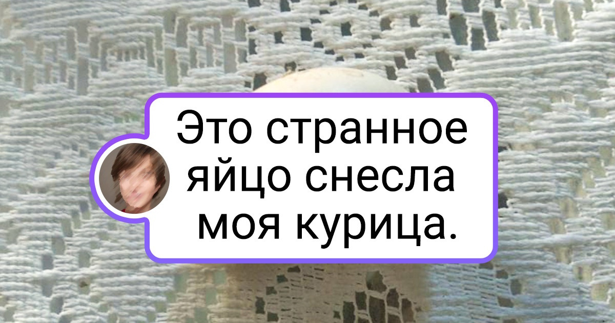 20 привычных вещей, которые мы видели тысячу раз, но в таком виде — никогда 20 привычных вещей, которые мы видели тысячу раз, но в таком виде — никогда