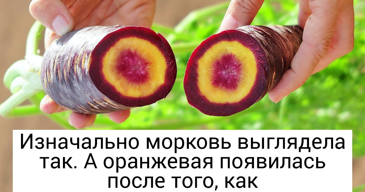40+ реальных фактов, в которые сложно поверить с первого раза