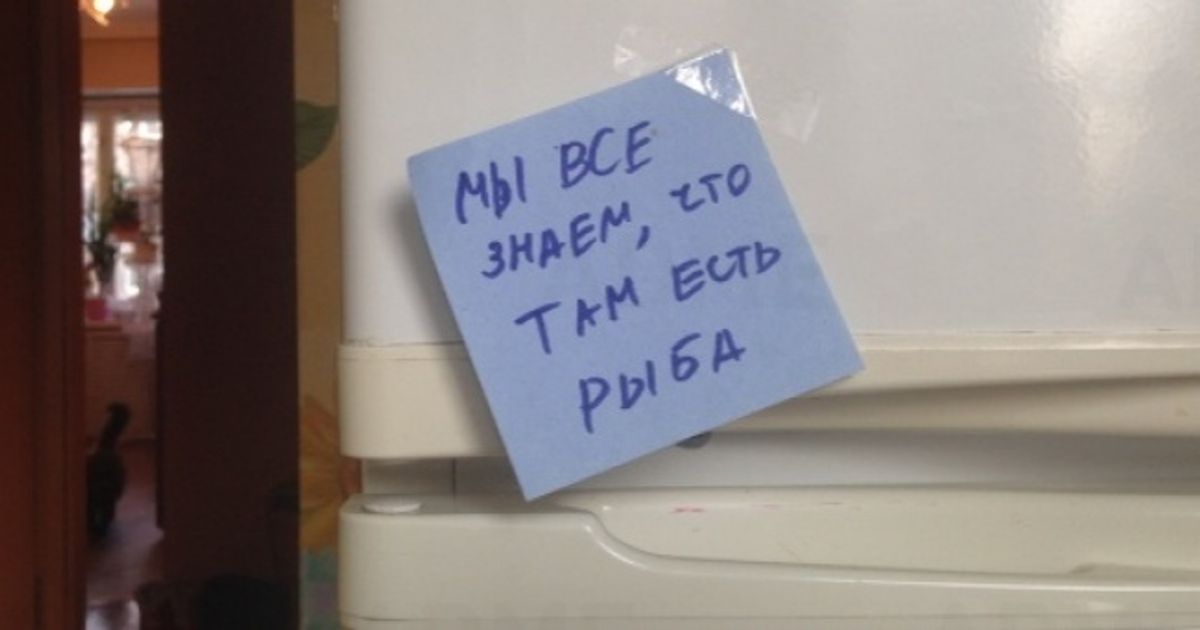 Если бы коты умели писать нам записки