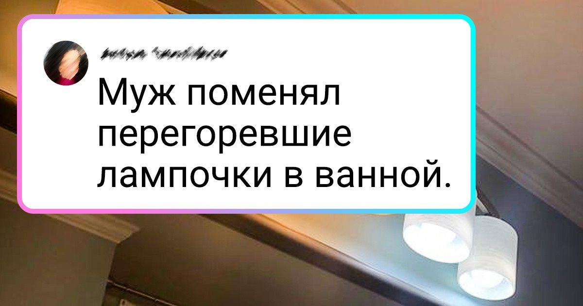 Каждый день окружающие доказывают мне что жизнь без мозга реальна