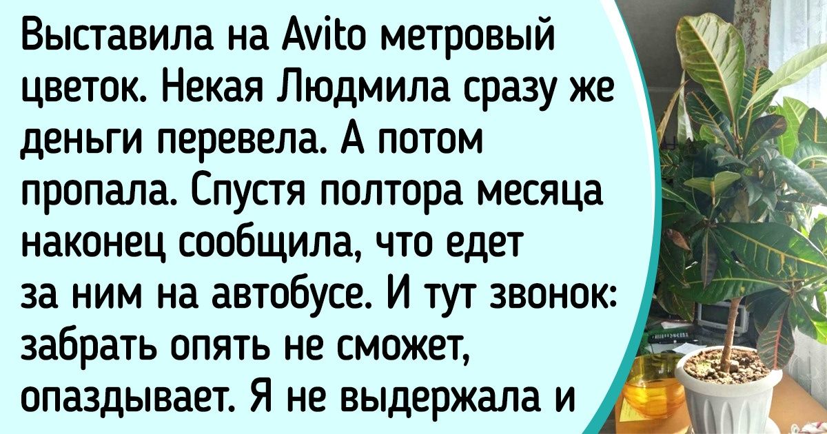 20+ человек, которые хотели что-то продать в интернете, а судьба решила подставить им ножку 20+ человек, которые хотели что-то продать в интернете, а судьба решила подставить им ножку
