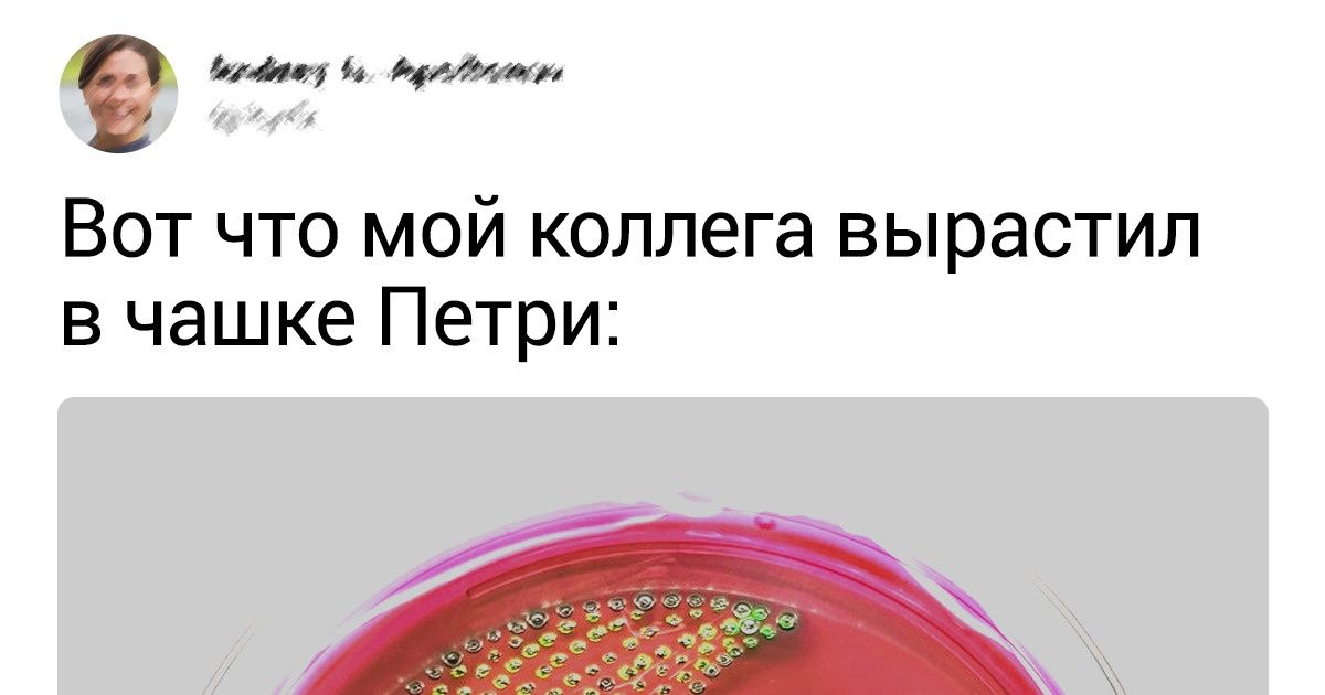 20+ фото, на которых все идеально до такой степени, что даже не верится 20+ фото, на которых все идеально до такой степени, что даже не верится
