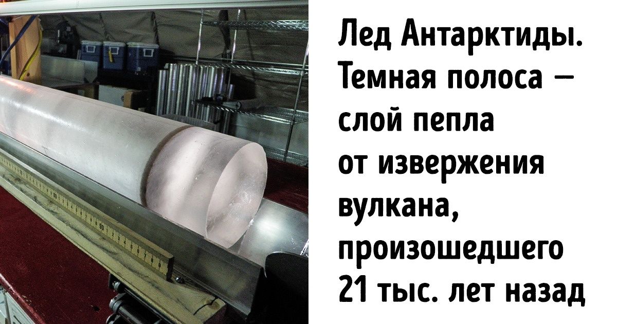 20 снимков для любителей говорить «Меня ничем не удивишь»