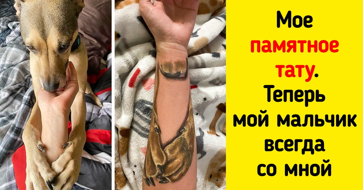 16 фотографий, которые излучают счастье сквозь экран