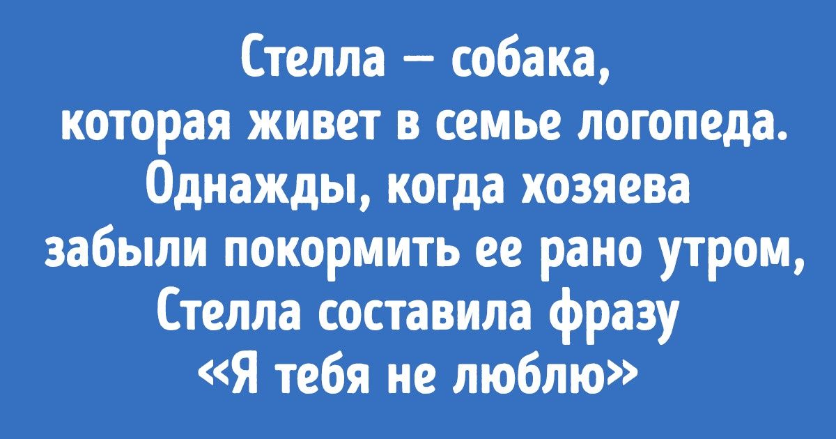 Как люди научили своих питомцев разговаривать по-настоящему, а не просто заучивать слова и реагировать на интонацию Как люди научили своих питомцев разговаривать по-настоящему, а не просто заучивать слова и реагировать на интонацию